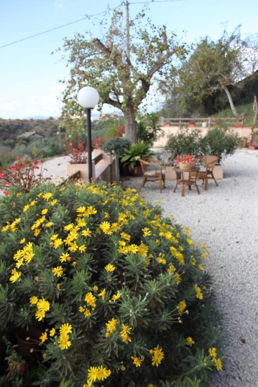 Bed and Breakfast Il Pioppo Veroli Екстер'єр фото